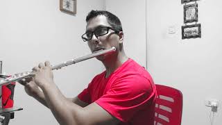 La Canción Hazte Amigo De Jehová The Song Make Friend Of Jehovah - Flute Cover By Gabe