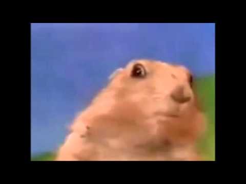 Dramatic Chipmunk W Dean Scream