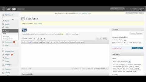 Displaying Posts to a Specific Page on Your Wordpress Website