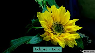 Eclipse - Love