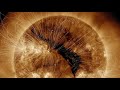 Unraveling Space Weather Dynamics and Solar Activity Effects on Earth