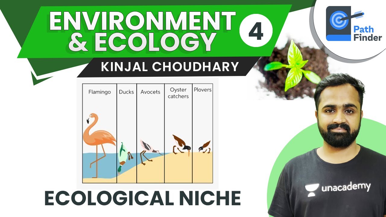 L4 Concept of Ecological Niche and Ecological Succession |UPSC CSE/IAS 2021 | Kinjal Choudhary
