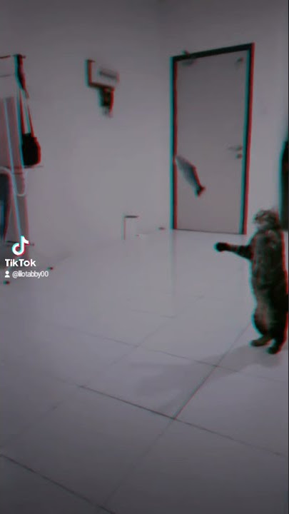#Lilo https://vt.tiktok.com/ZSe2f2uT4/