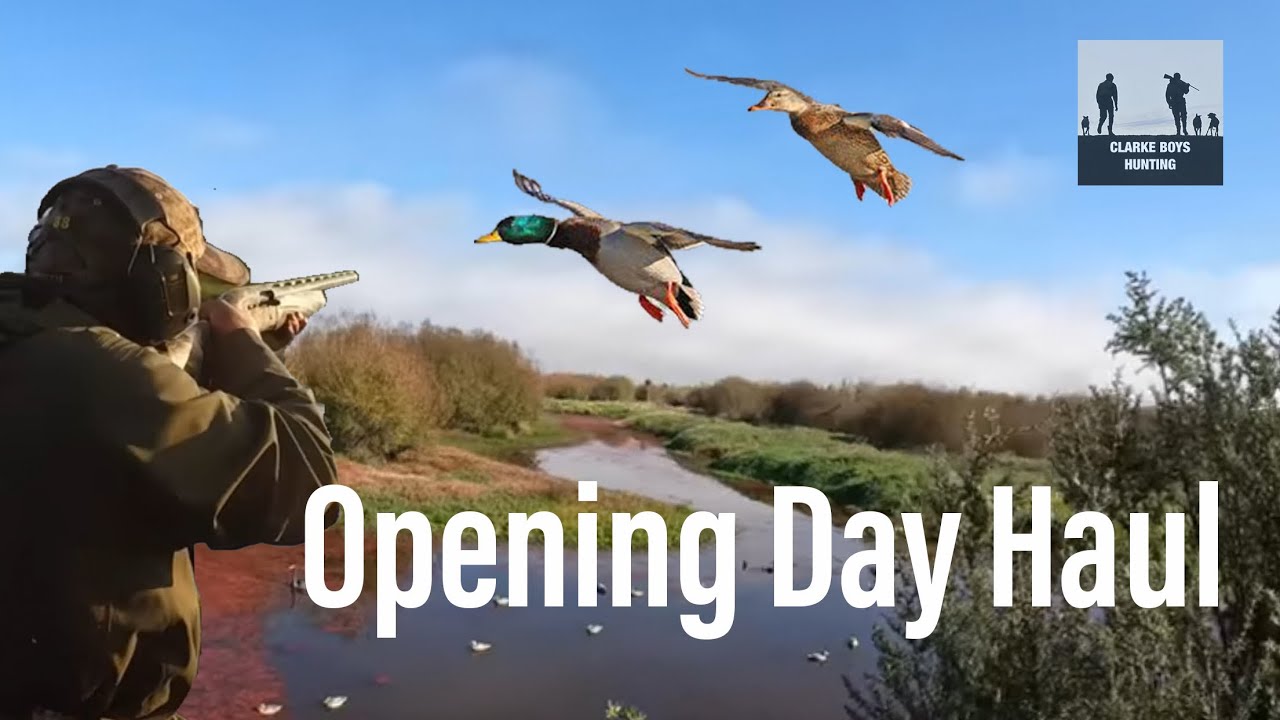 Duck Hunting 2022 YouTube