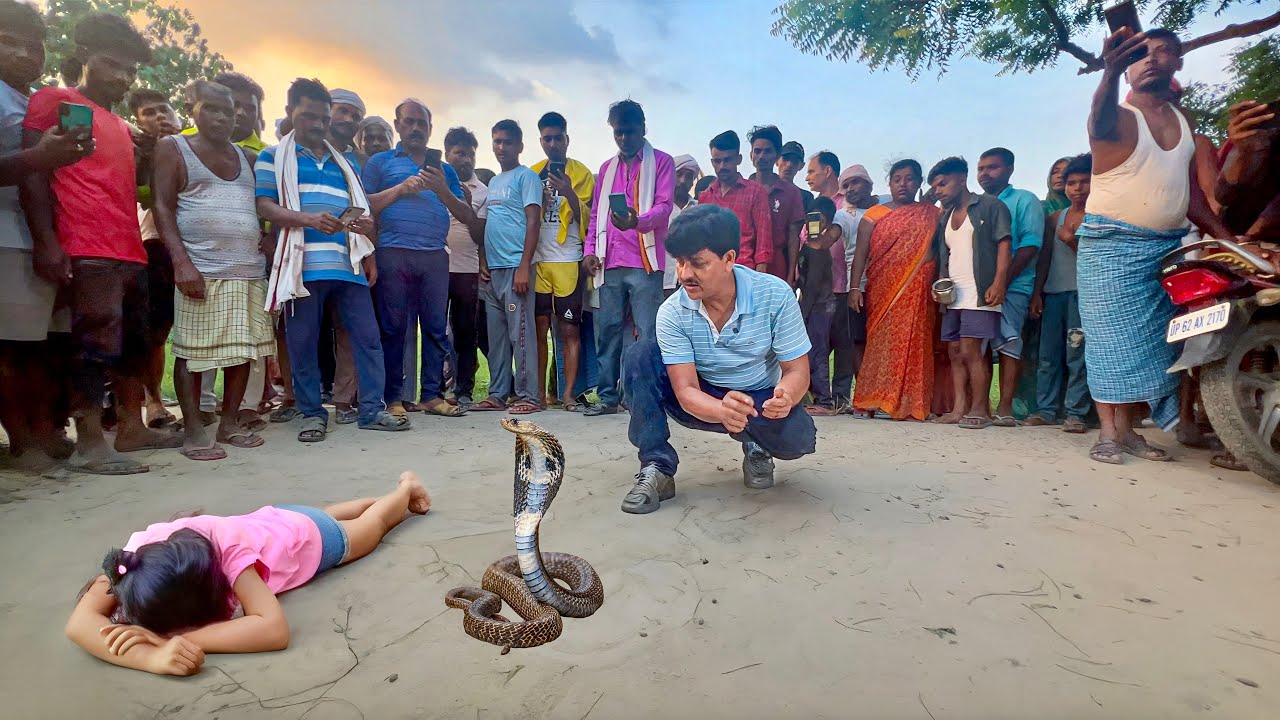 जहरीले Cobra के काटने से हो गई बच्ची की मौत! ग़ुस्से में आकर ग्रामीणों ने जो किया | बहुत दुःखद घटना।