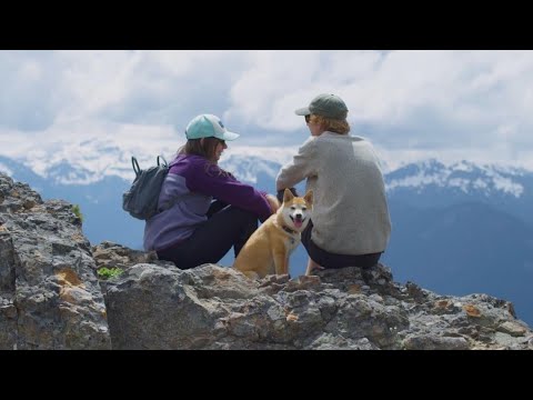 Summertime at Crystal Mountain: An experience you won't forget - KING 5 Evening