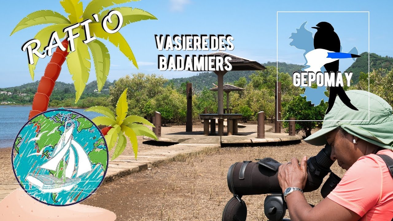 La Vasière des Badamiers avec le GEPOMAY
