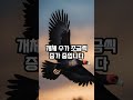 지구상에 가장 적게 남은 동물 TOP 10 #shorts