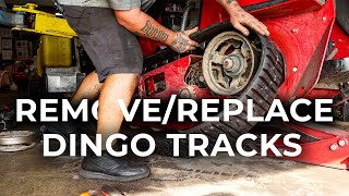 Celebrity Remove & Replace Tracks On TORO Dingo Profile