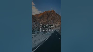 تلاوة خاشعة للشيخ محمد الغزالي من سورة المائدة