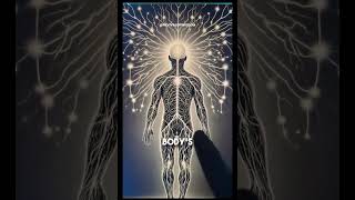 Energy And The Human Body