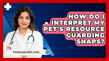 How Do I Interpret My Pet