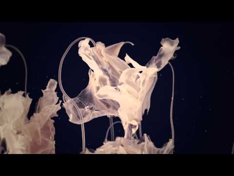 Solanum - Animation by Cloudfactory [HD]