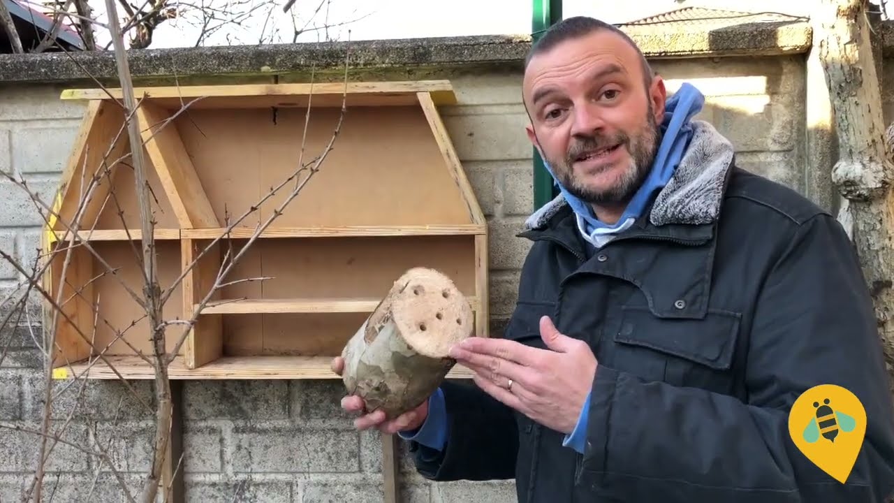 Come realizzare un bug hotel per le api solitarie e selvatiche