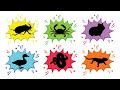 Pets: Hamster, Duck, Beetle, Crab, Crocodile Skink, Snake