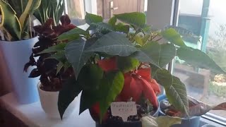 :   .   ,  .  .  . 18.07.2021 .