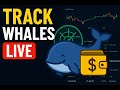 How To Track Whale Wallet In Free | Whale Wallet Tracking