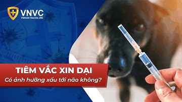 Vắc xin dại có ảnh hưởng tới não bộ người tiêm hay không? | VNVC