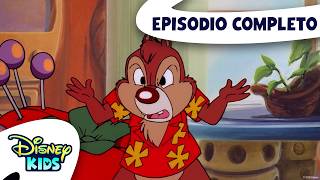 Flash, il Super Cane | Cip & Ciop Agenti Speciali S1 E4 | Episodio Completo | @DisneyKidsIT