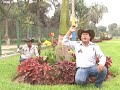 PISTOLEROS DE CAJAMARCA- Mi Flor Adorada.VOB