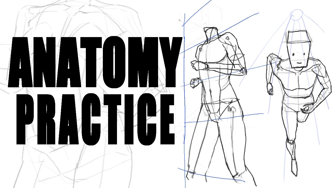anatomy + perspective sketching