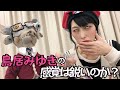 【感覚チェック】鳥居みゆきの“感覚”は、はたして鋭いのか、鈍いのか…？　４つの項目でチェック⛩