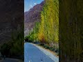 Amazing 🤩 Autumn 🍂 #travel #mountains #nature #foryou #fypage