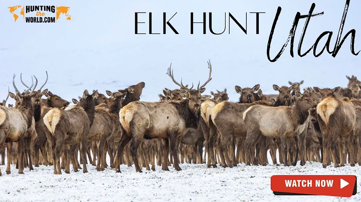 Utah Monster Elk hunt / Hunting the World.com / Utah desert 2022