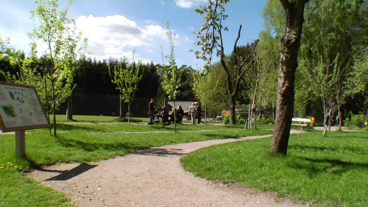 WILDPARK SCHWARZE BERGE - immer eine gute Zeit