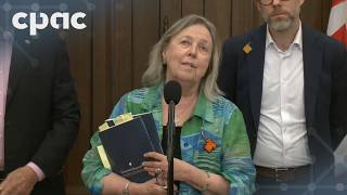 Green Party reaction to the 2026 spring economic update – April 28, 2026