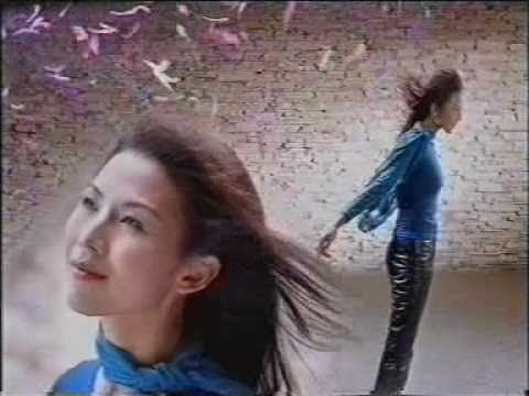devos法絲負離子一分鐘焗油(蔡少芬)2002