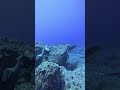 The Sunken City of Yonaguni: A Prehisto…