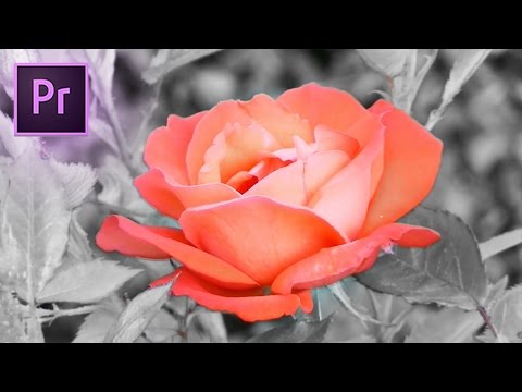 How To Change COLOR Of An Object In A Video In Adobe Premiere Pro (HSL Secondary Lumetri Tutorial)