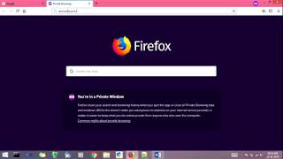 What Is Robots.txt File? How To Write Robots.txt File?