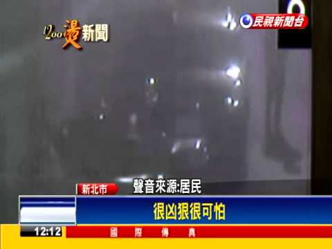 不滿被瞪 惡少發狠猛毆持刀砍人－民視新聞
