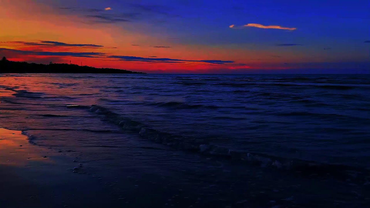 Gentle Ocean Waves for Peaceful Sleep | Night Ocean Sound