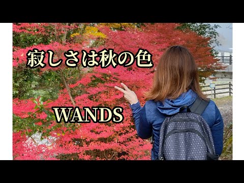 寂しさは秋の色  WANDS   歌ってみた