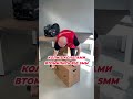 PATON International "убрали СММ" #paton #патон #україна #welding #funny #jokes