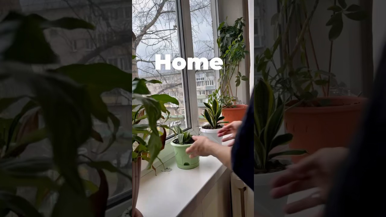 Универсальный спрей от грязи и запахов Wellroom WB — WW119993 OZON — 175639900 