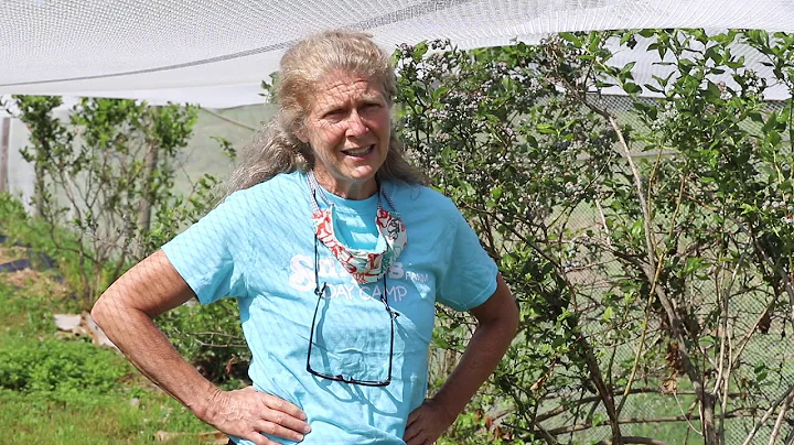 Blueberries with Susan Snipes-Wells