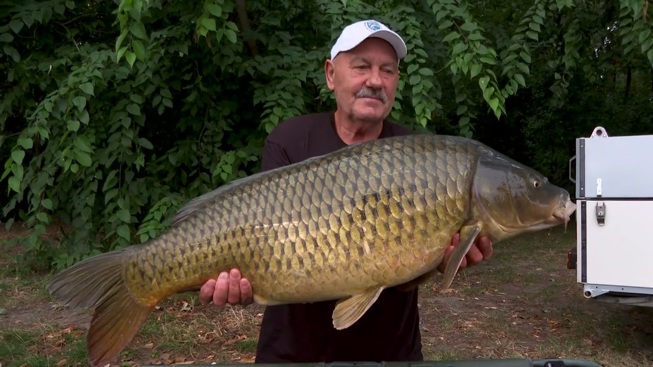 Keresztelj el és fogadj örökbe egy rekordpontyot!