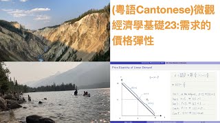 (粵語Cantonese)微觀經濟學基礎23:需求的價格彈性