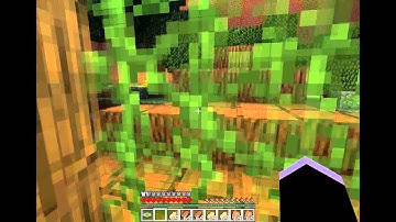 Minecraft The Labyrinth of Irritation pt:2