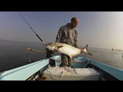 lei! sua maesta! la grande leccia