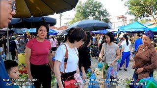 Hai Travel | Inside the Most Exotic Highland Market of Vietnam – Where Rare Goods Meet Culture