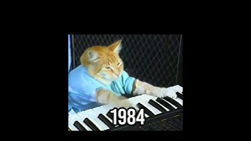 Piano Cat (then vs now)