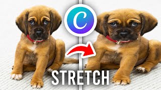 How To Stretch Image In Canva - Full Guide