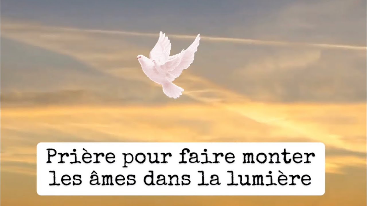 Prière 🤲 pour faire monter les âmes dans la lumière 🤍#priere #prier #