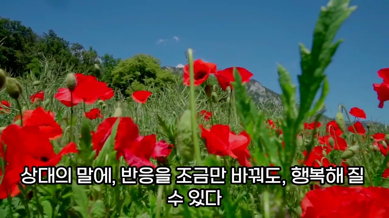 행복연습