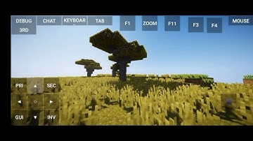 Chocapic V6 Lite Virgl Render No lag